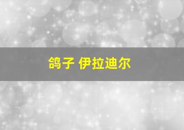 鸽子 伊拉迪尔